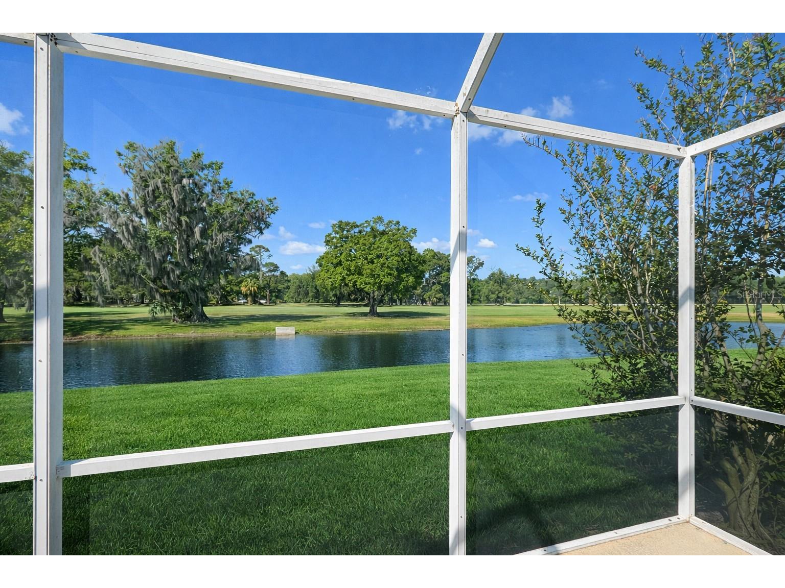 3712 Doral Street Palm Harbor FL 34685 A4689611 image54