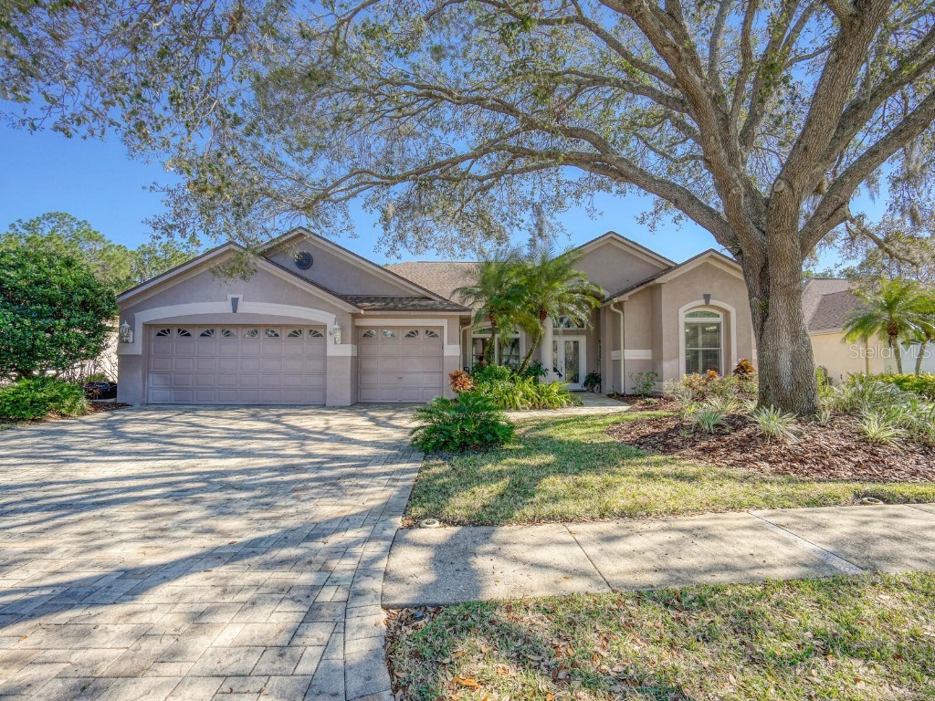 3712 Pendlebury Drive Palm Harbor FL 34685 TB8355717 image1