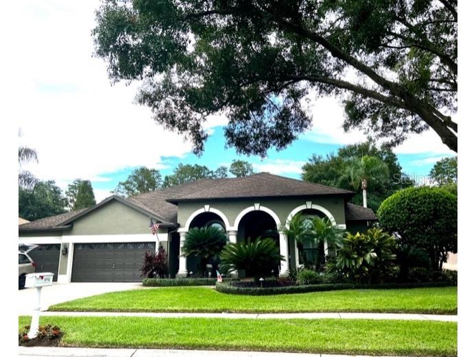 3712 Swans Landing Drive Land O Lakes FL 34639 - LAKE PADGETT J966177 image1