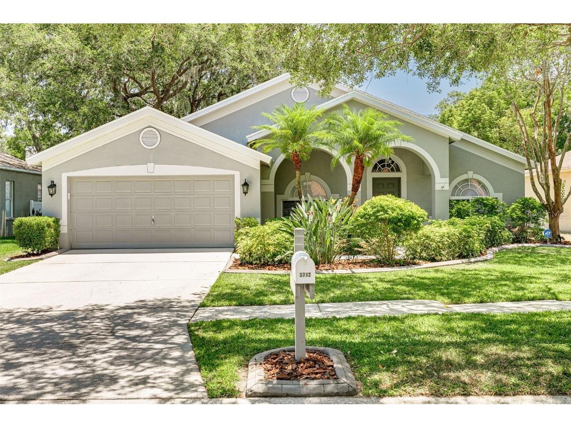 3712 Treeline Drive Valrico FL 33596 T3446847 image1