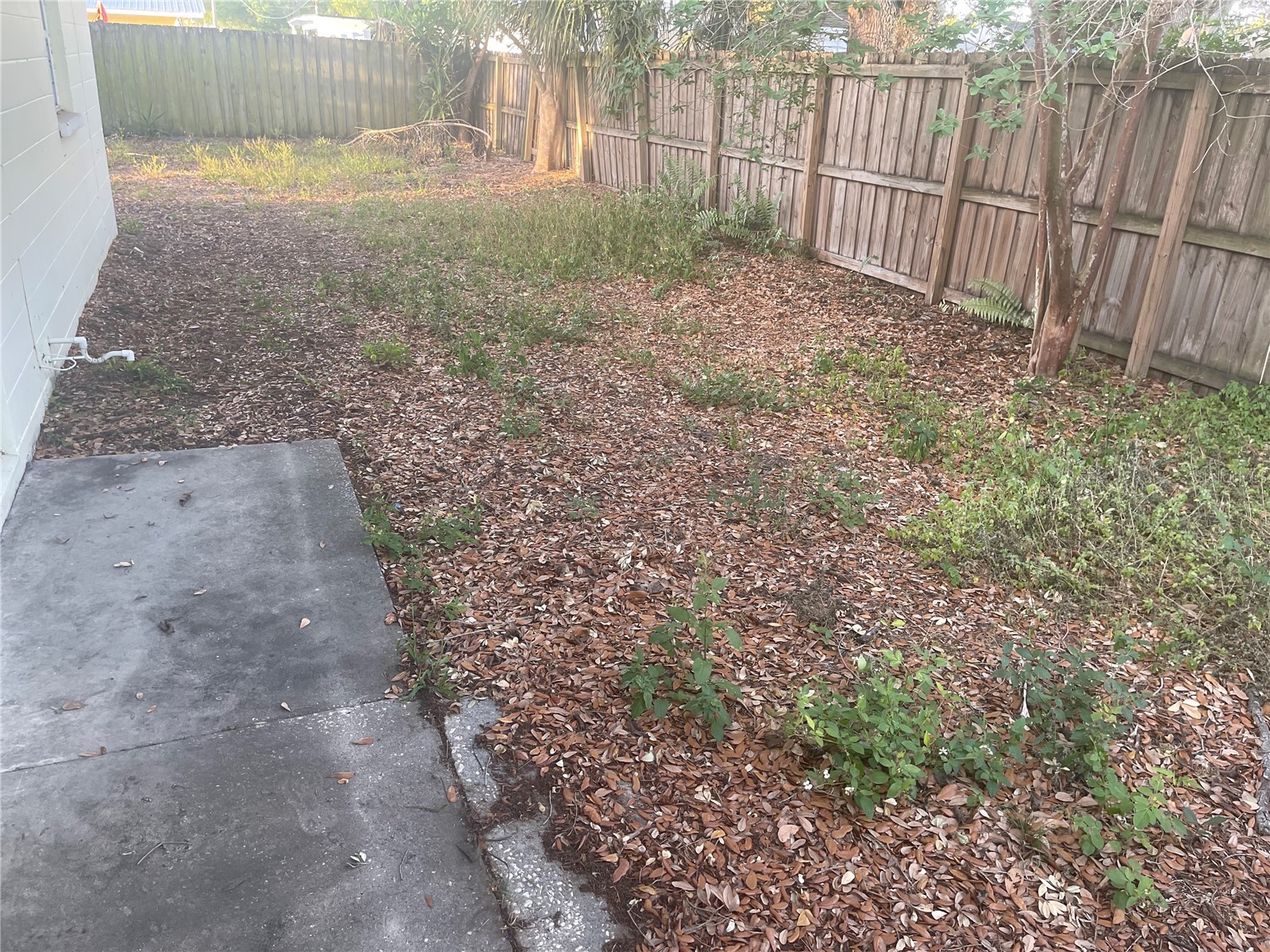 3712 W Wallace Avenue Tampa FL 33611 TB8502341 image9