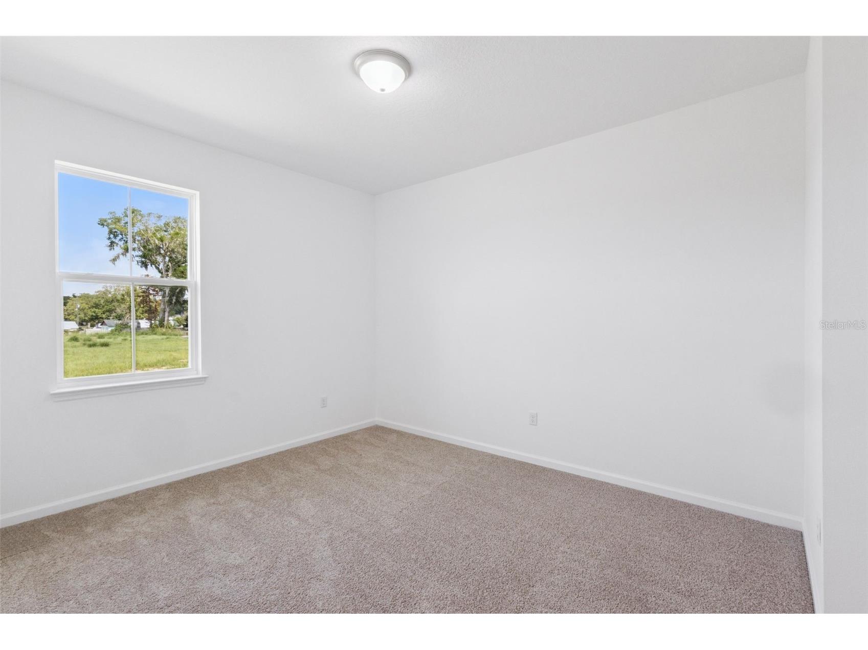 3712 Watercliff Circle Grand Island FL 32735 O6413318 image13
