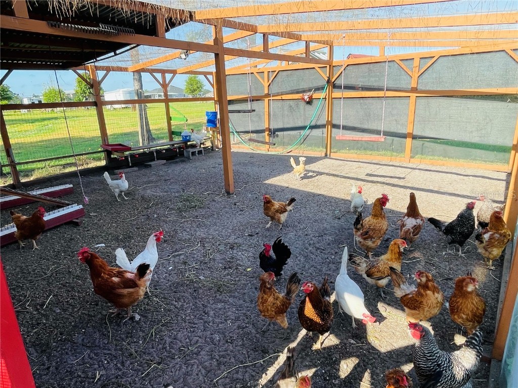 3713 Old Mulberry Road Plant City FL 33567 TB8410201 image30