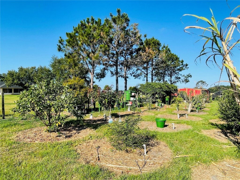 3713 Old Mulberry Road Plant City FL 33567 TB8410201 image32