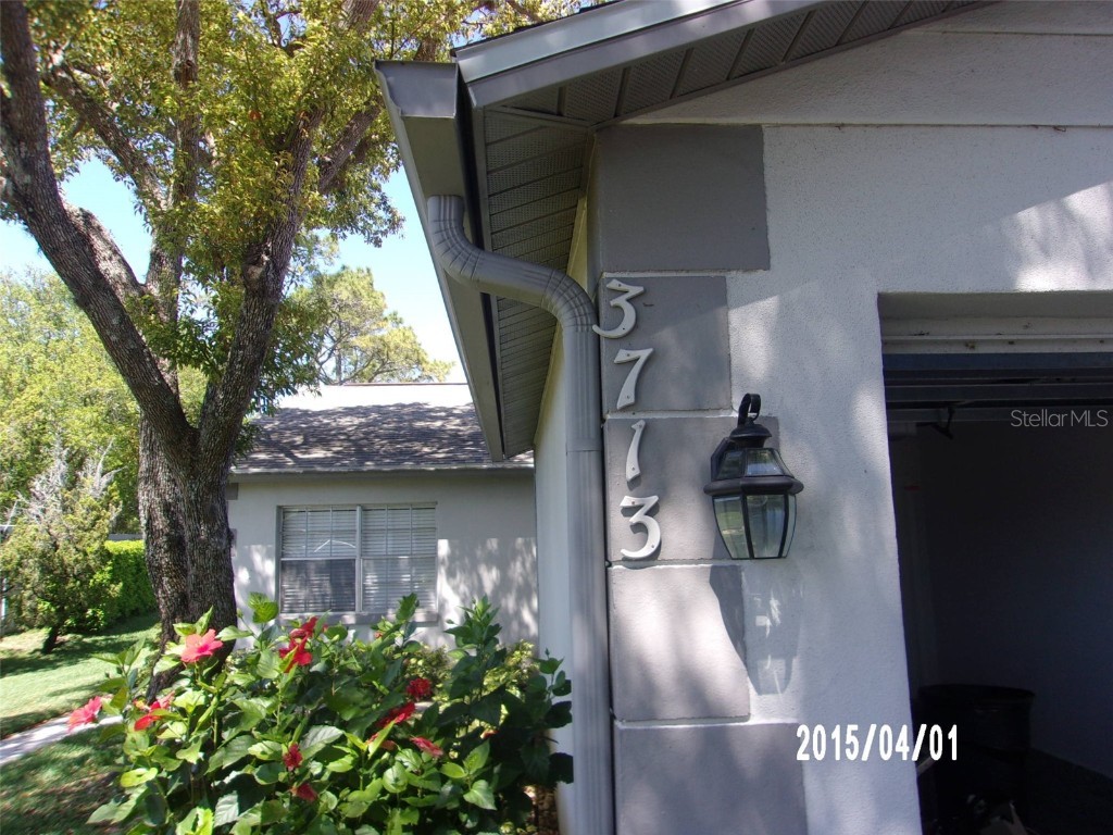 3713 River Oaks Court New Port Richey FL 34655 W7853340 image1