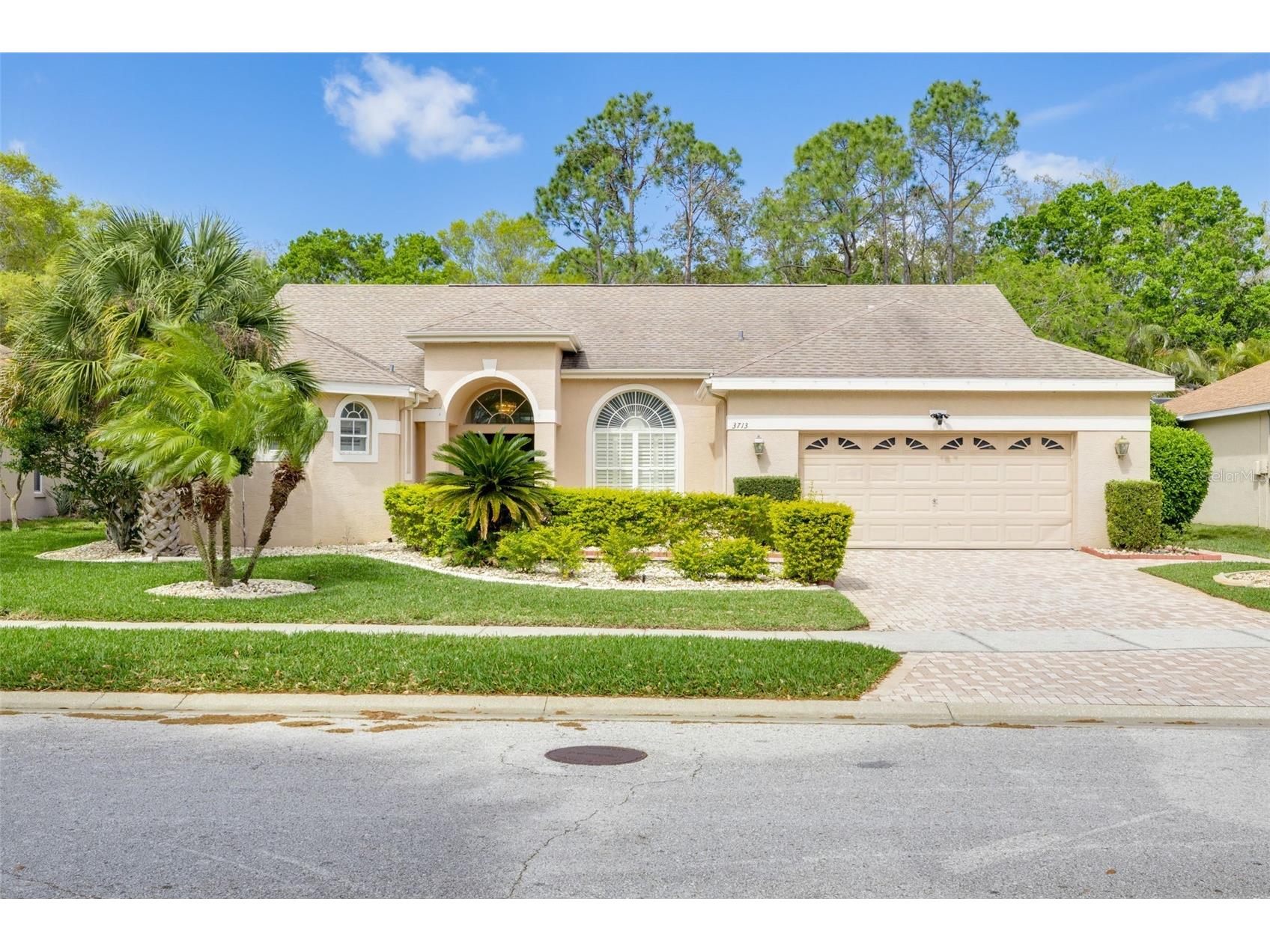3713 Siena Lane Palm Harbor FL 34685 TB8502186 image1