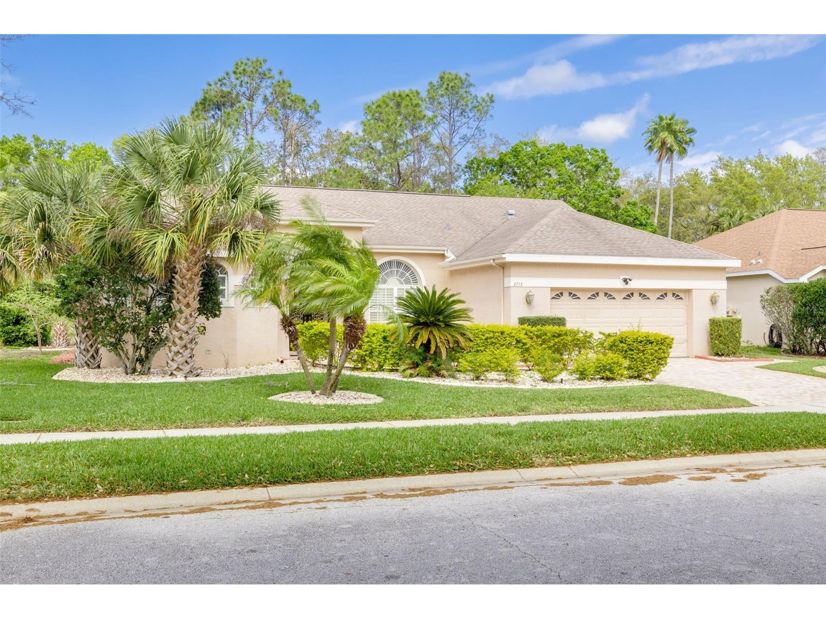 3713 Siena Lane Palm Harbor FL 34685 TB8502186 image2