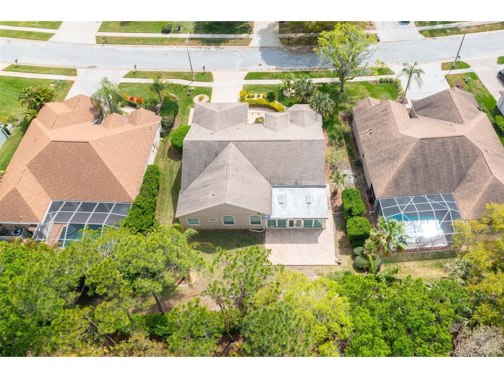 3713 Siena Lane Palm Harbor FL 34685 TB8502186 image37