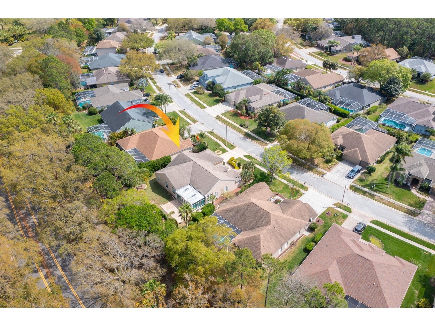 3713 Siena Lane Palm Harbor FL 34685 TB8502186 image39