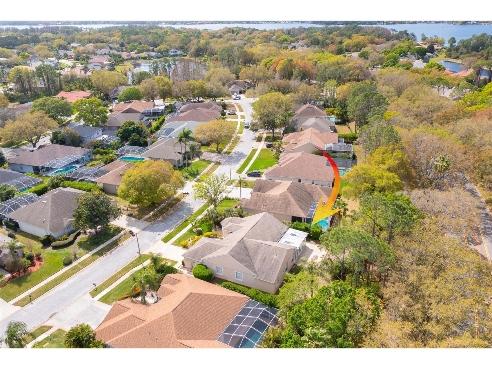3713 Siena Lane Palm Harbor FL 34685 TB8502186 image40