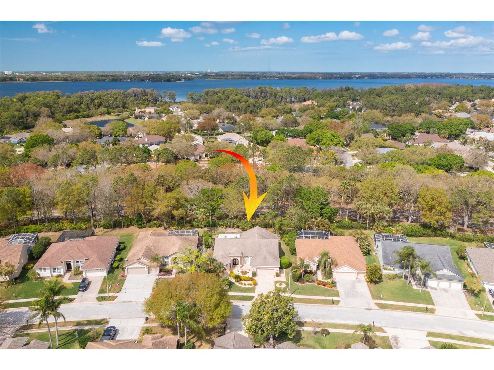 3713 Siena Lane Palm Harbor FL 34685 TB8502186 image41