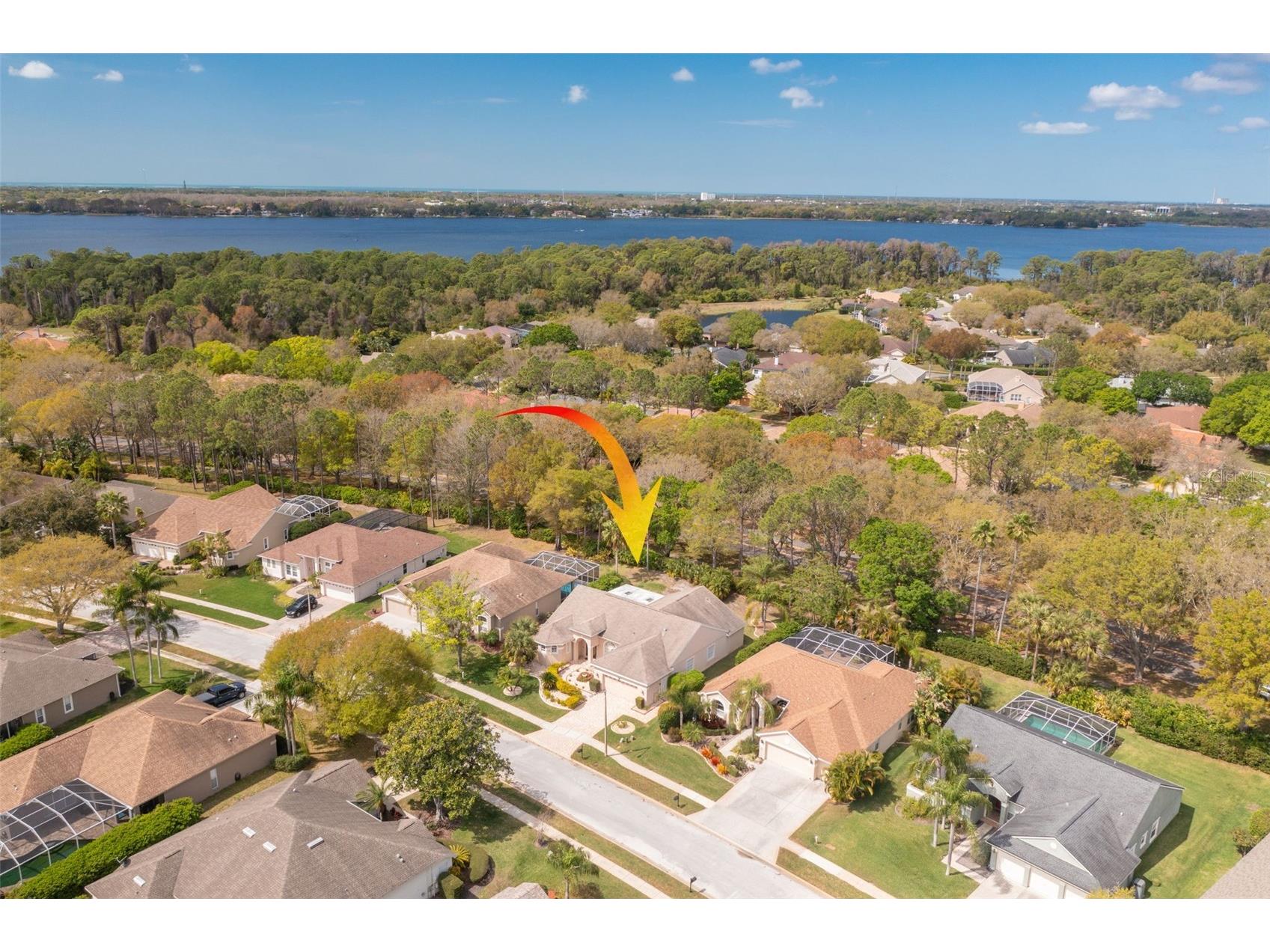 3713 Siena Lane Palm Harbor FL 34685 TB8502186 image42