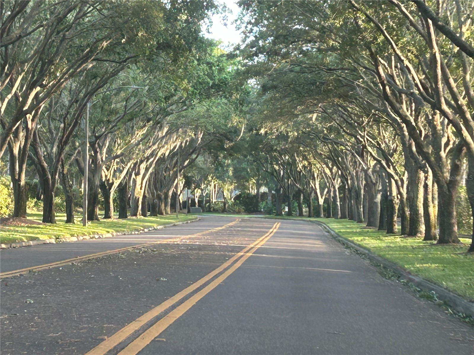 3713 Siena Lane Palm Harbor FL 34685 TB8502186 image43