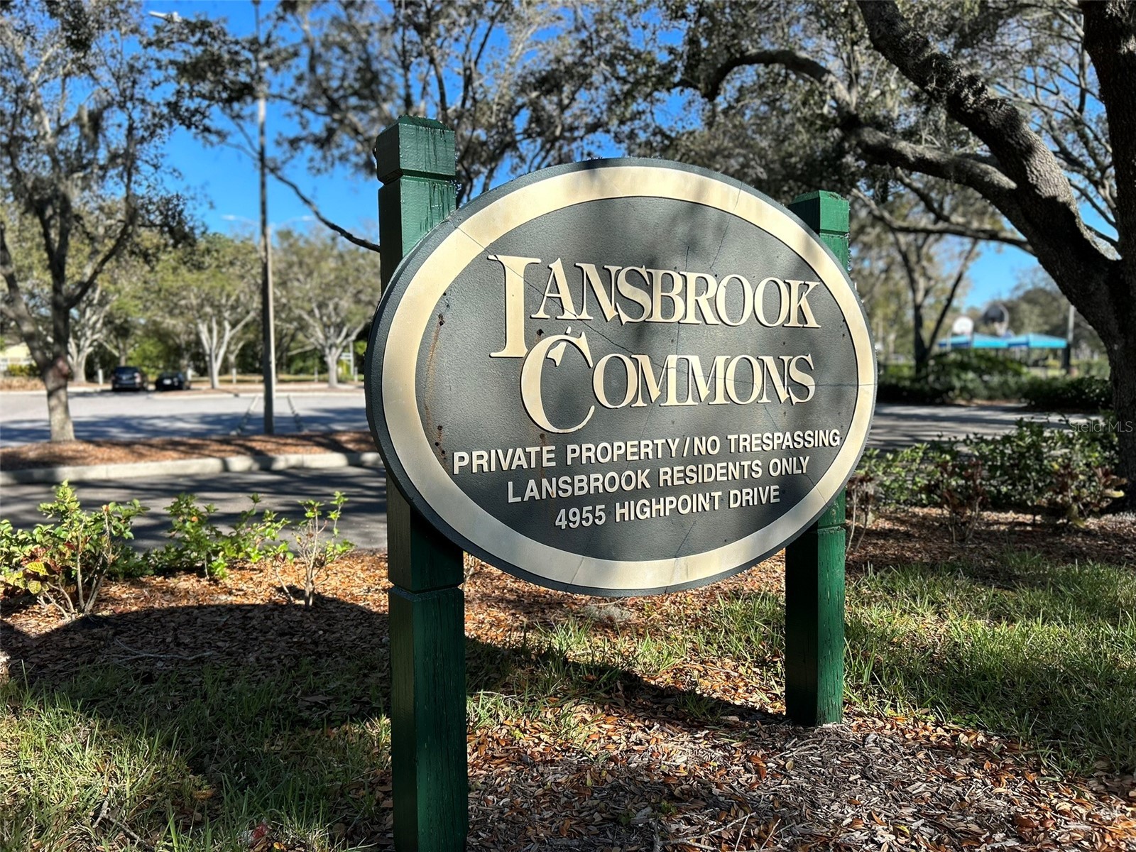 3713 Siena Lane Palm Harbor FL 34685 TB8502186 image44