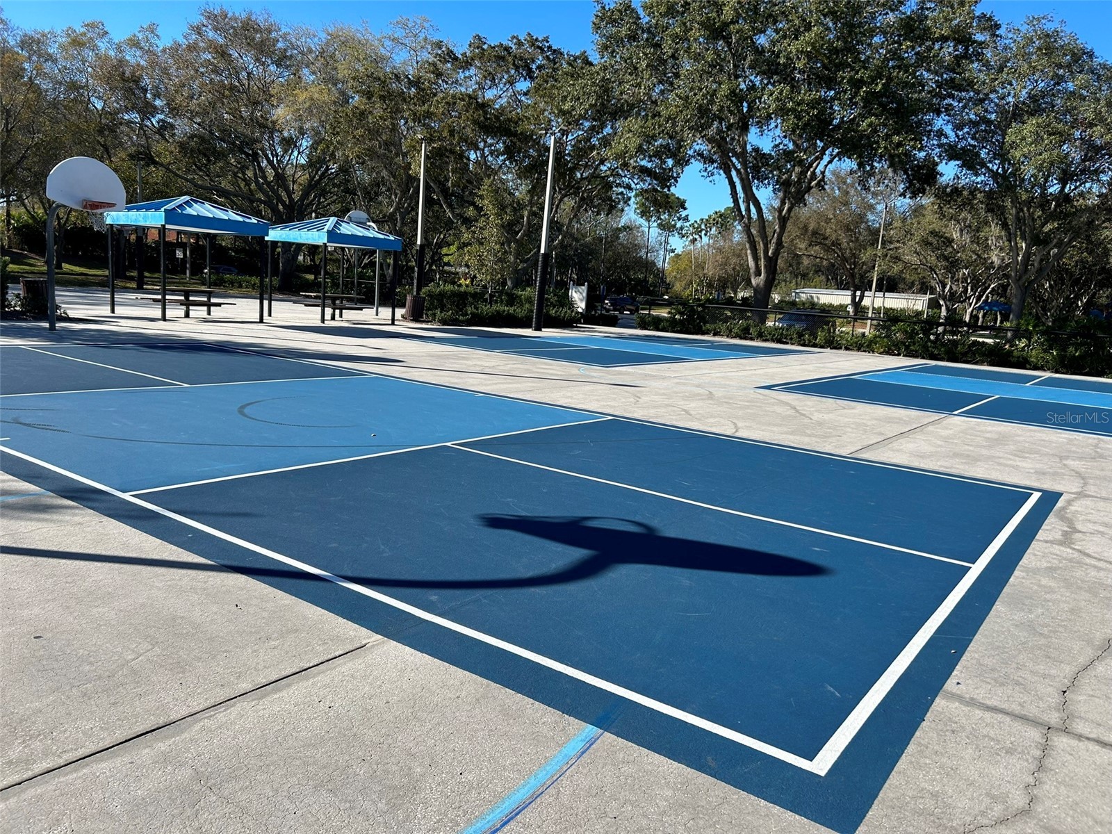 3713 Siena Lane Palm Harbor FL 34685 TB8502186 image45
