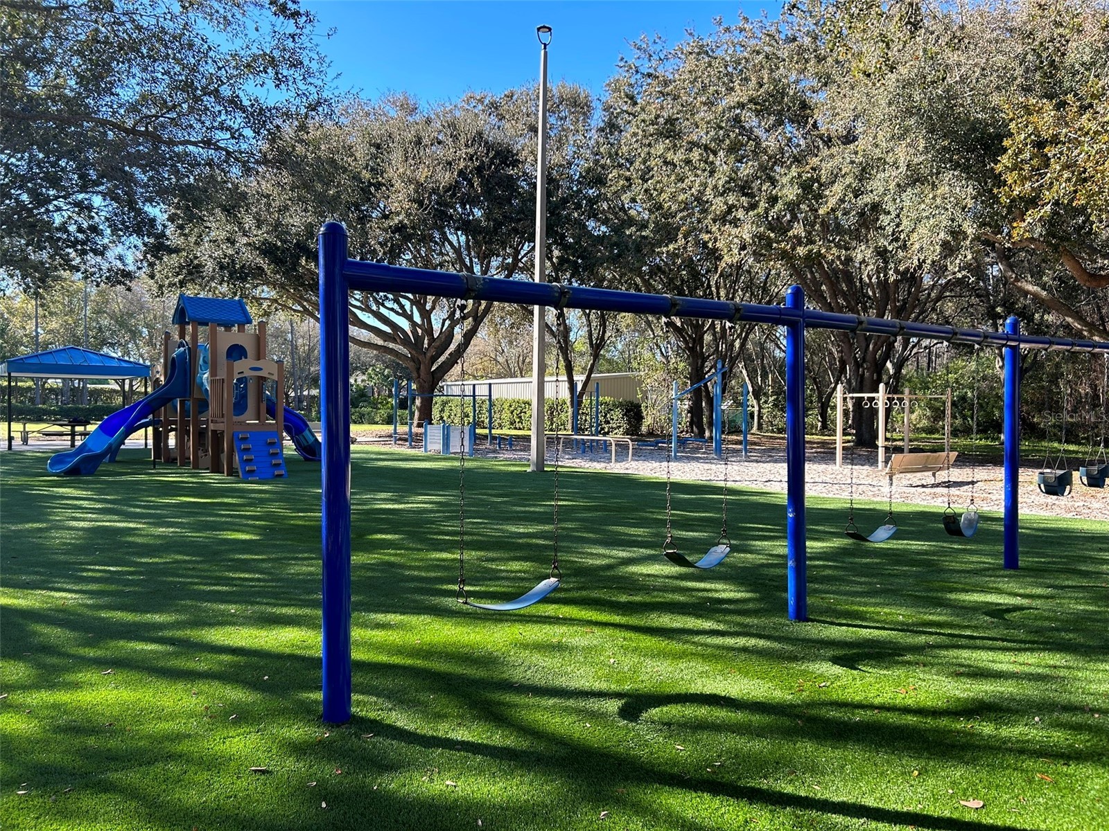 3713 Siena Lane Palm Harbor FL 34685 TB8502186 image46