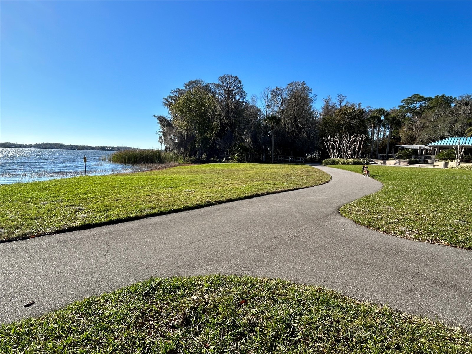 3713 Siena Lane Palm Harbor FL 34685 TB8502186 image49