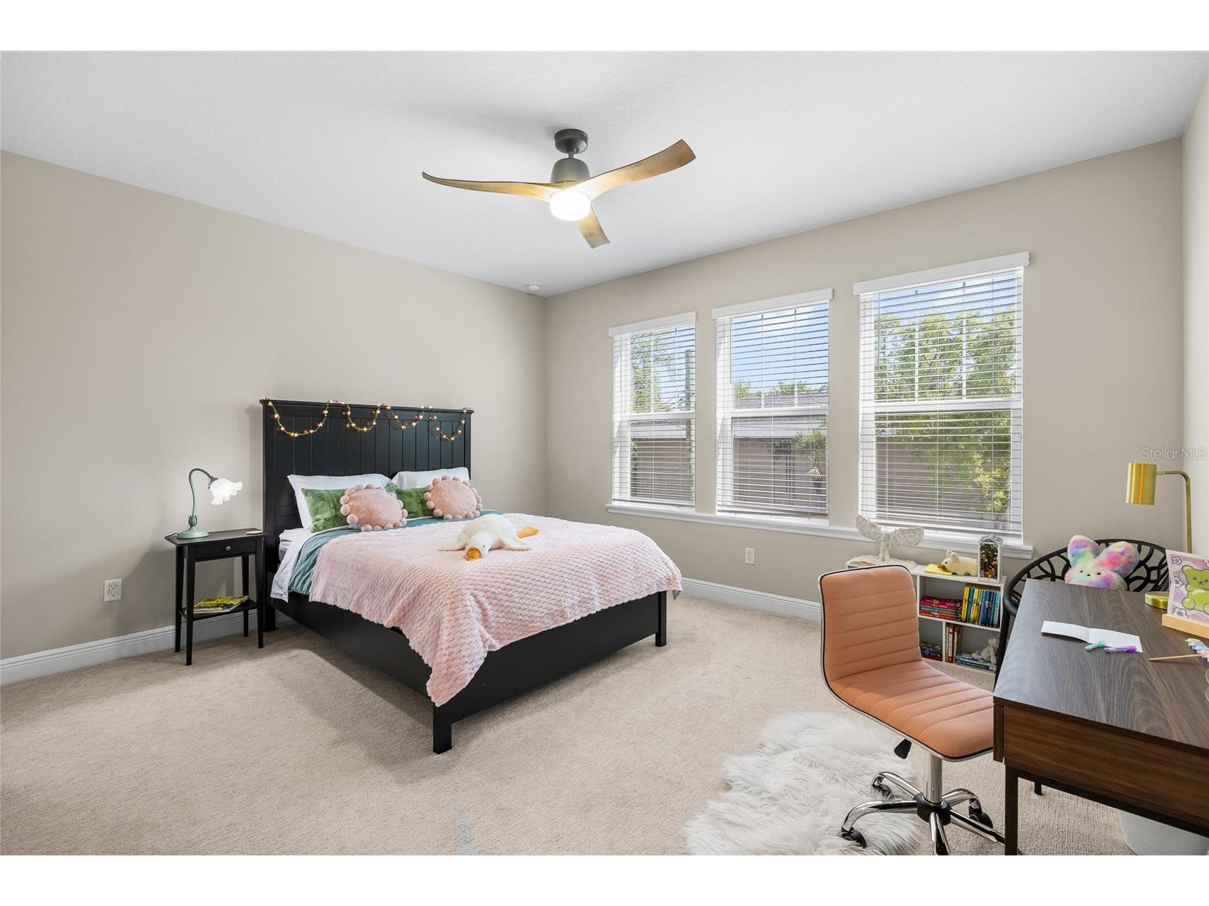 3713 W Leona Street Tampa FL 33629 TB8476611 image32