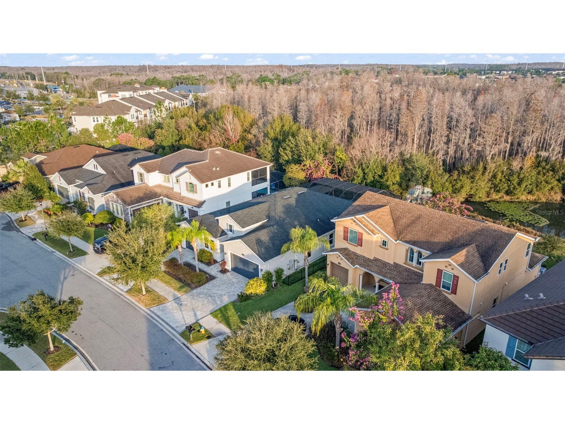 3713 Wicket Field Road Lutz FL 33548 TB8468736 image52