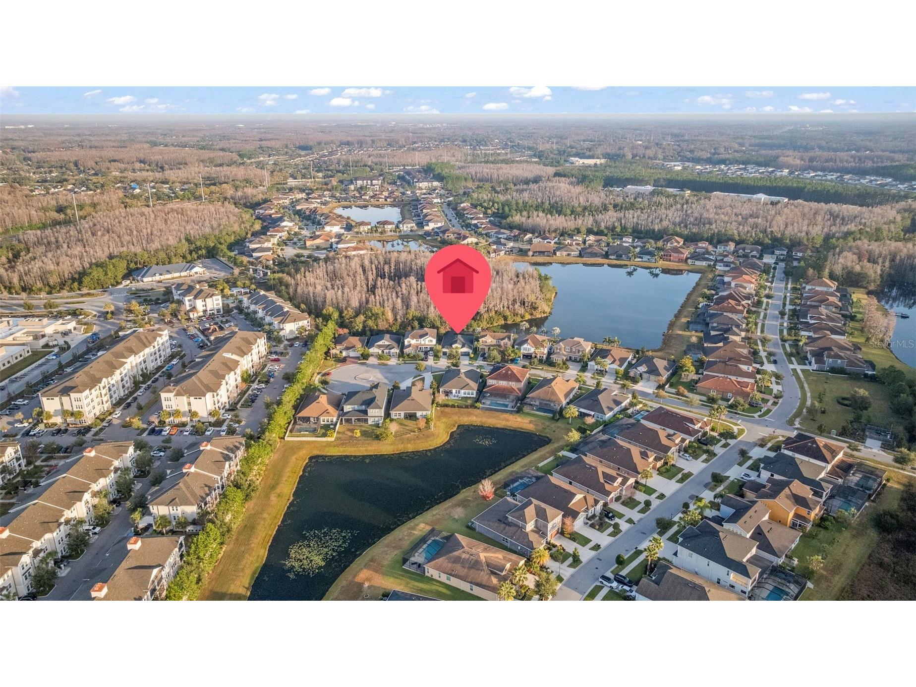 3713 Wicket Field Road Lutz FL 33548 TB8468736 image56