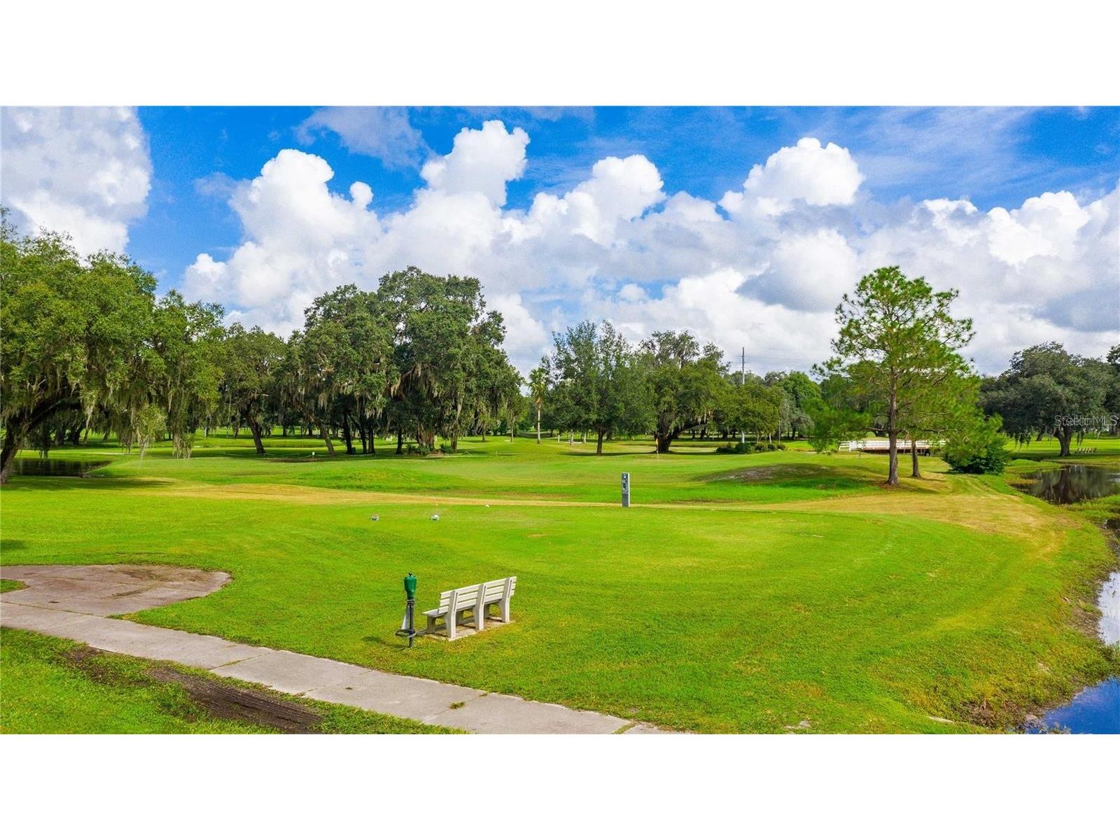 37135 Sandra Avenue Zephyrhills FL 33542 TB8503199 image37