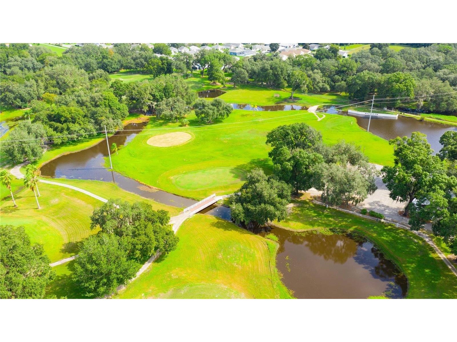 37135 Sandra Avenue Zephyrhills FL 33542 TB8503199 image38
