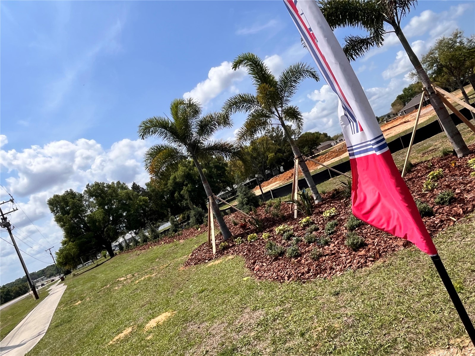 37136 Hidden View Dade City FL 33523 TB8456350 image19