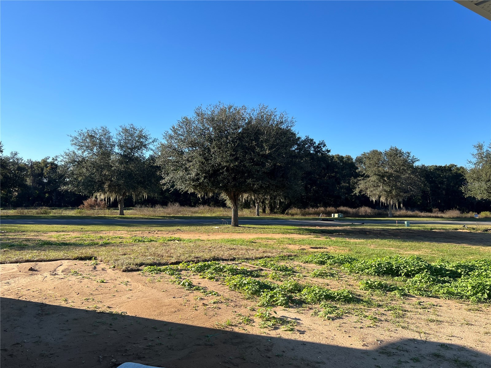 37136 Hidden View Dade City FL 33523 TB8456350 image3