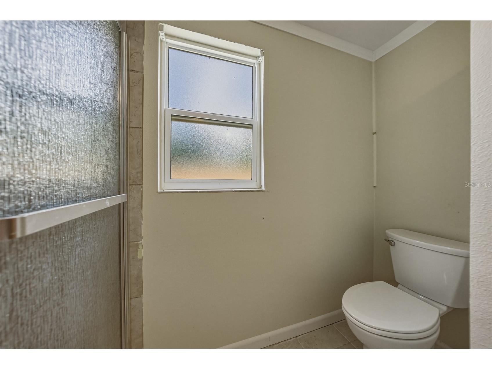 37136 Mandarin Avenue Zephyrhills FL 33541 TB8511769 image29