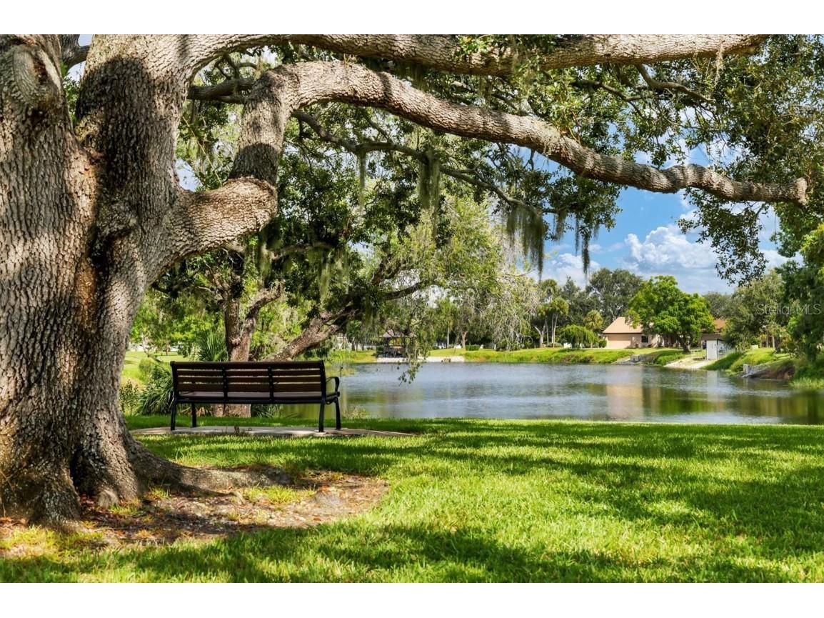 3714 Glen Oaks Manor Drive Sarasota FL 34232 A4670977 image41