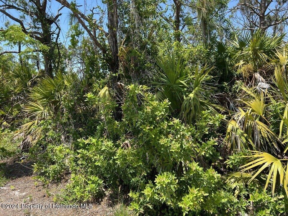 3714 Myers Lane Saint James City FL 33956 TB8374375 image3