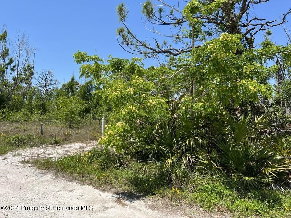 3714 Myers Lane Saint James City FL 33956 TB8374375 image4