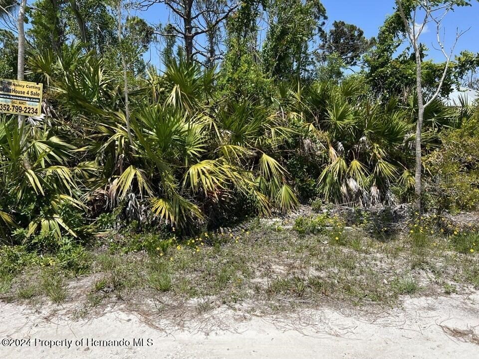 3714 Myers Lane Saint James City FL 33956 TB8374375 image5