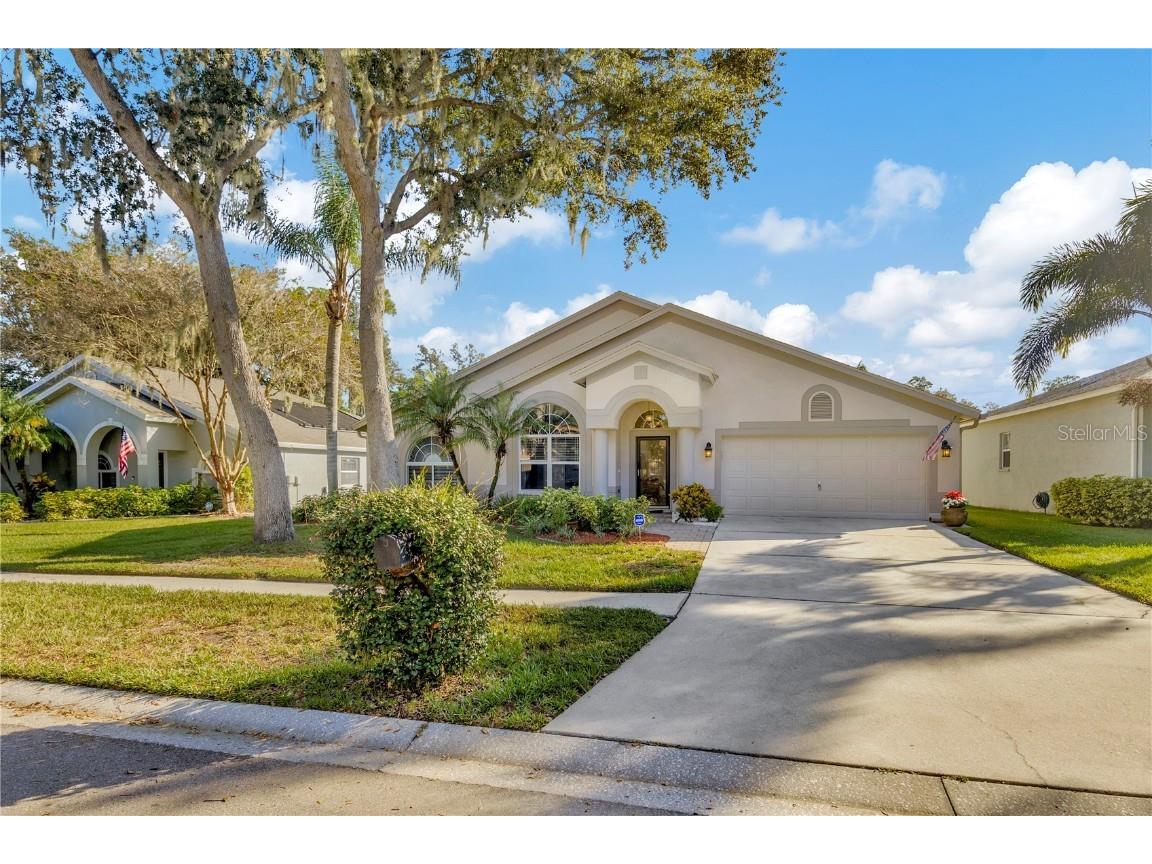 3714 Treeline Drive Valrico FL 33596 T3487820 image1