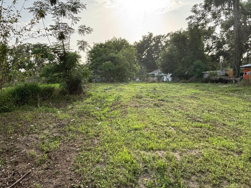 37148 Withlacoochee Avenue Dade City FL 33523 TB8395209 image1