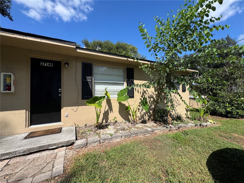 37149 Marlu Lane Dade City FL 33525 TB8442894 image1