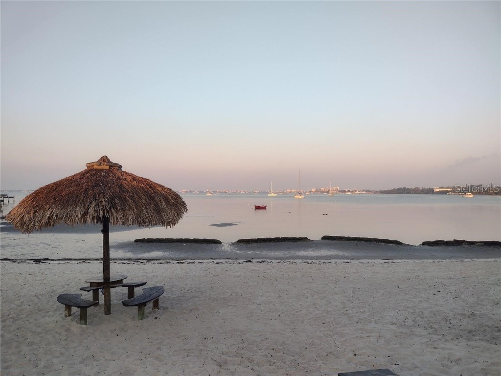 3715 42nd Way S #F Saint Petersburg FL 33711 TB8411638 image4