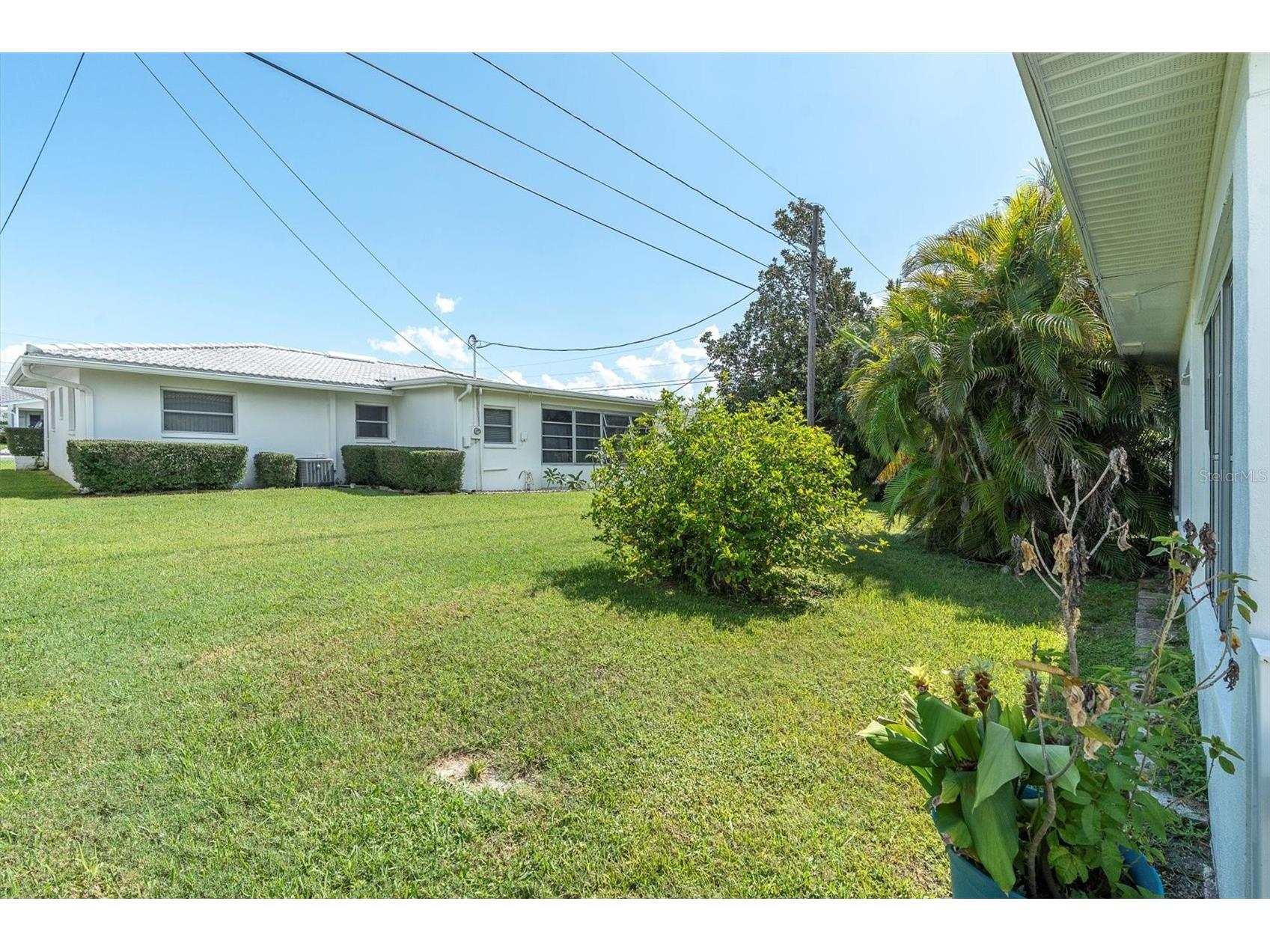 3715 98th Avenue N #3 Pinellas Park FL 33782 TB8514191 image35