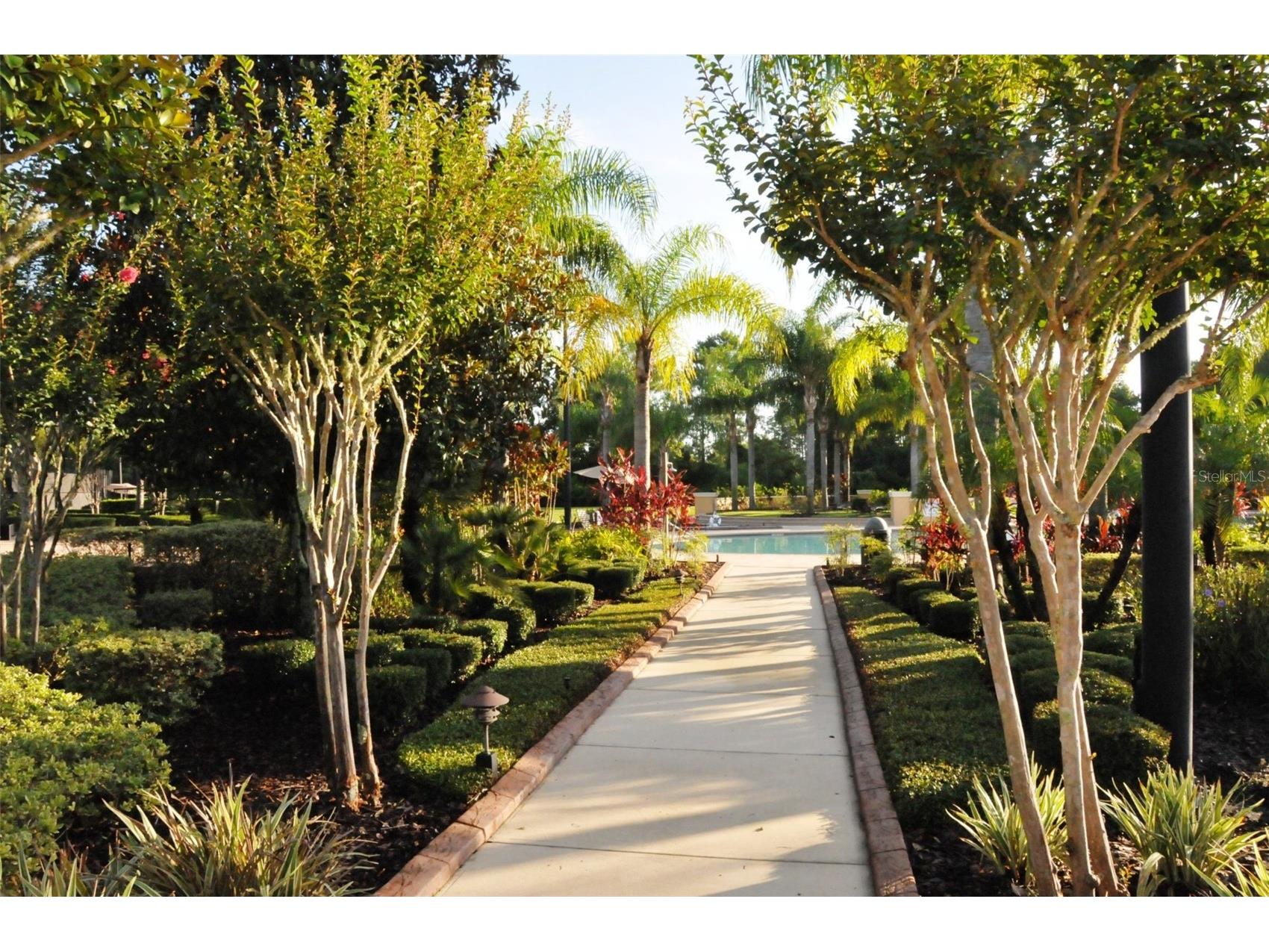 3715 Safflower Terrace Oviedo FL 32766 O6387639 image41