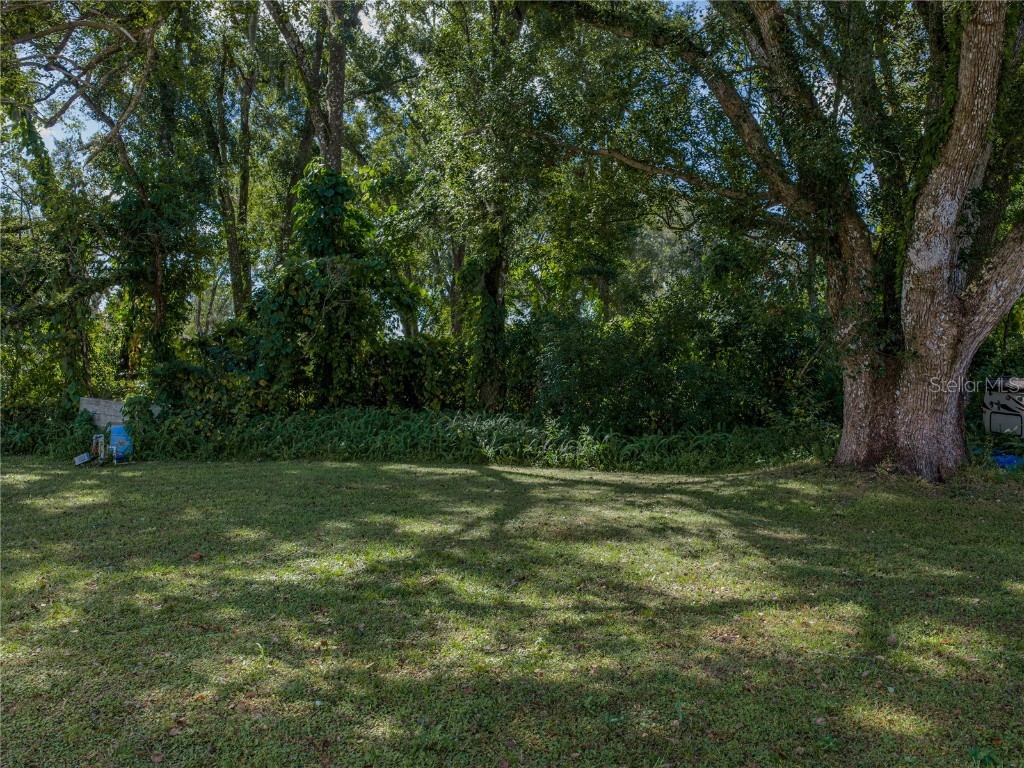 37150 Belford Court Zephyrhills FL 33541 TB8443402 image30