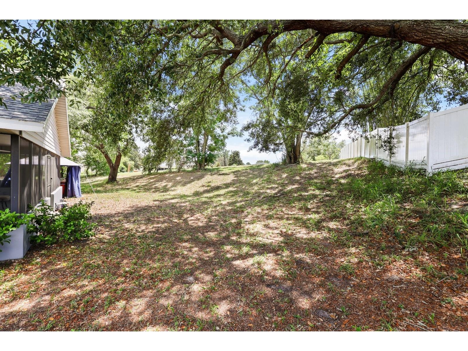 37153 County Road 452 Grand Island FL 32735 - LAKE YALE O6401324 image35