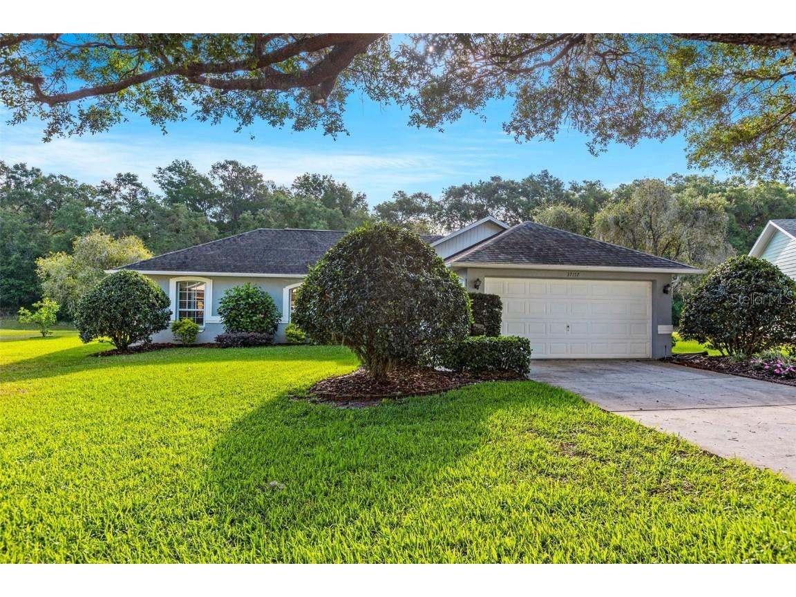 37157 Foxrun Place Zephyrhills FL 33542 T3439980 image1