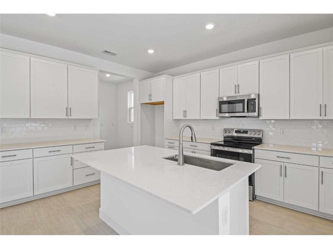 3716 Deer Ridge Drive Mount Dora FL 32757 S5115712 image3