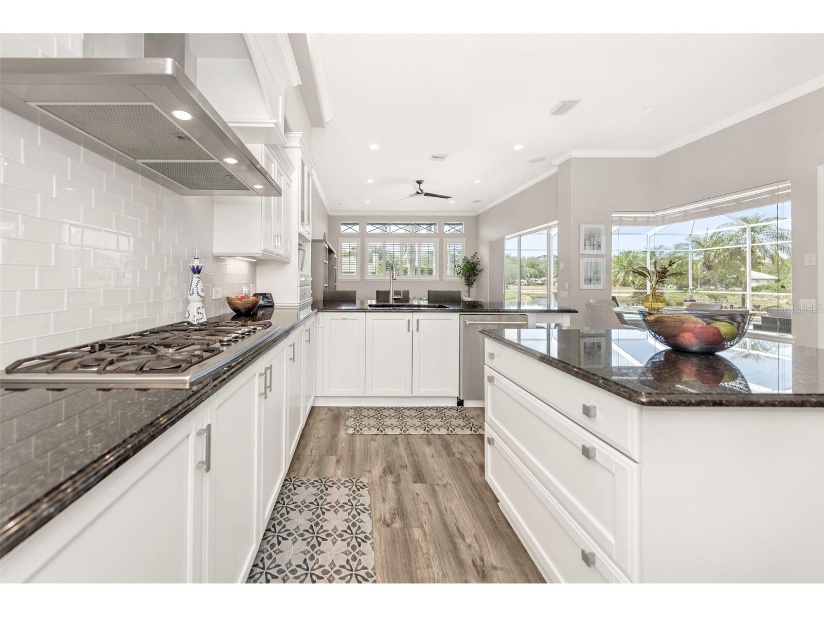 3716 Janus Way Palm Harbor FL 34685 TB8503448 image15