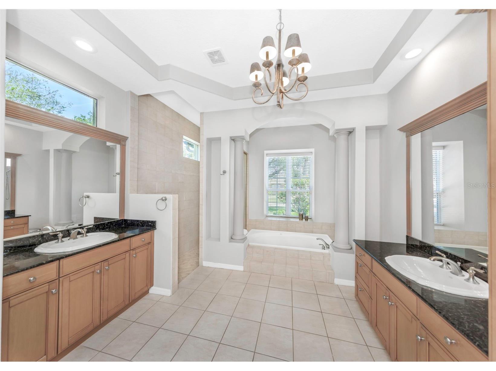 3716 Janus Way Palm Harbor FL 34685 TB8503448 image25