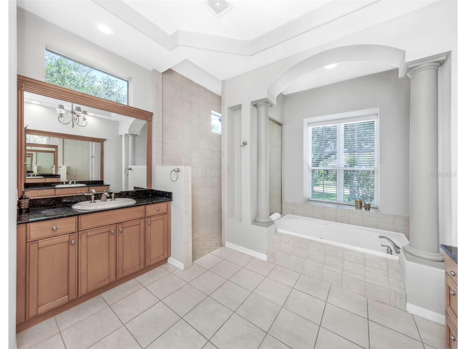 3716 Janus Way Palm Harbor FL 34685 TB8503448 image26