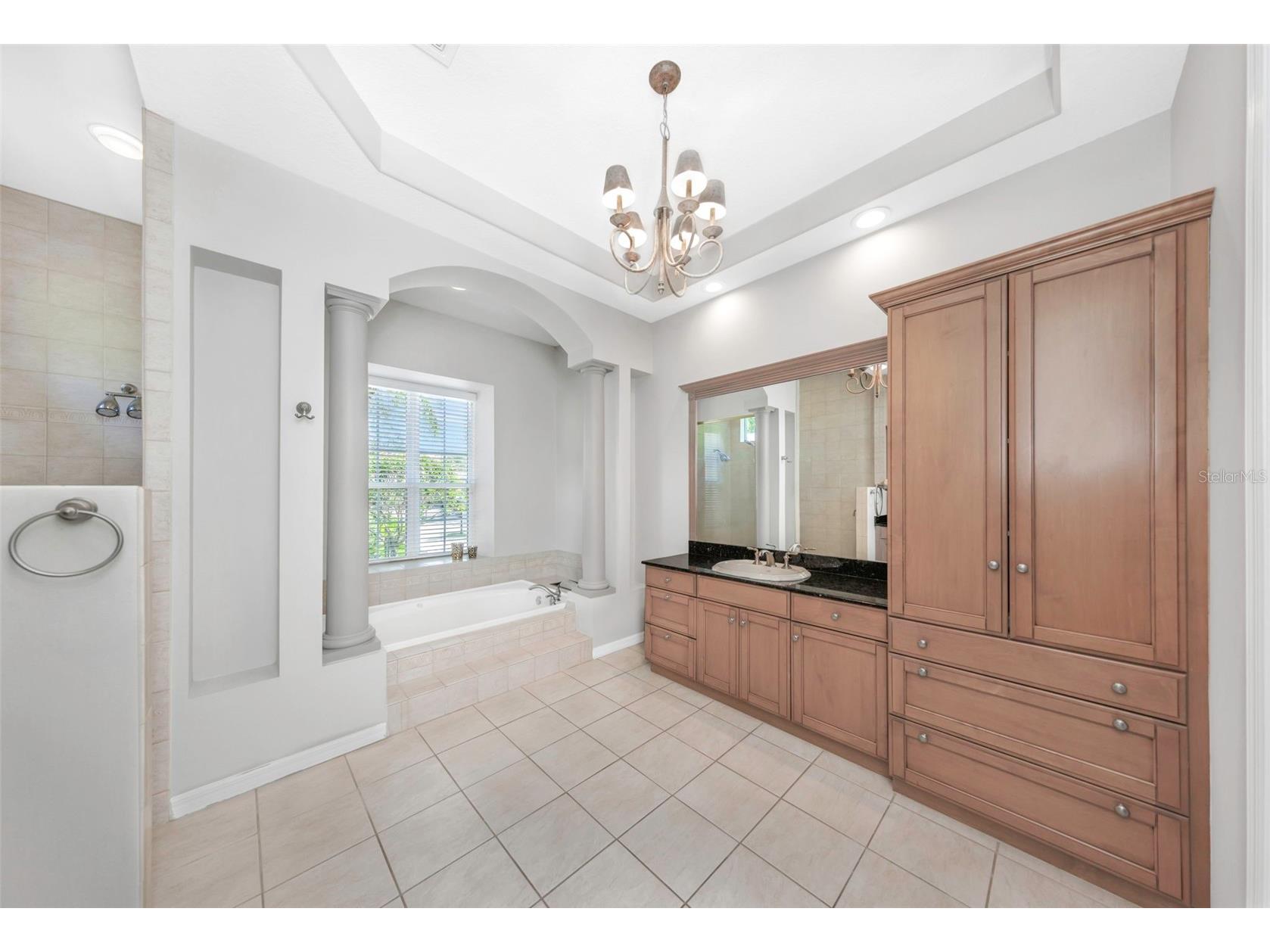 3716 Janus Way Palm Harbor FL 34685 TB8503448 image27