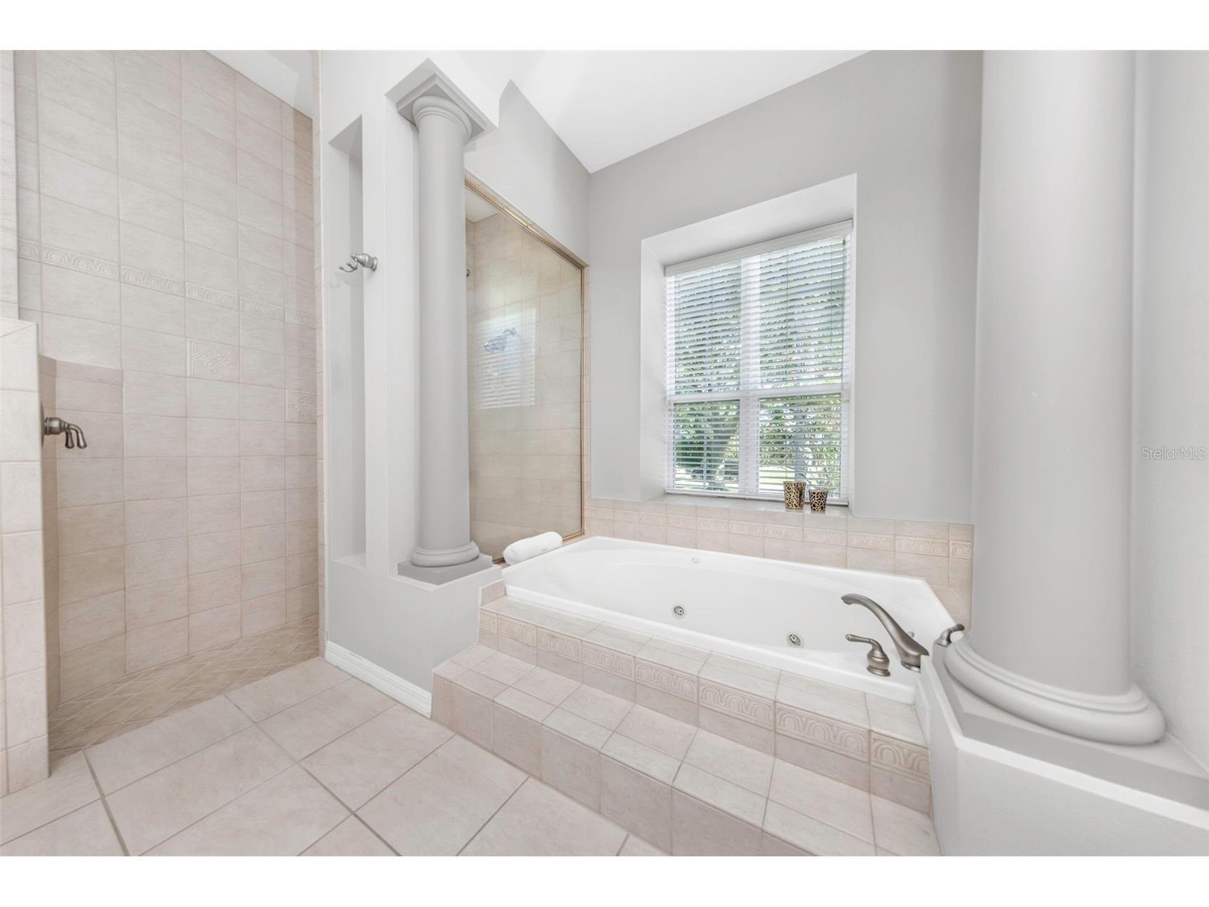 3716 Janus Way Palm Harbor FL 34685 TB8503448 image28
