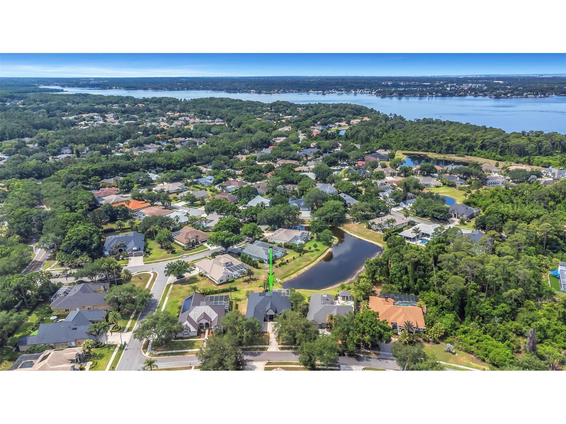 3716 Janus Way Palm Harbor FL 34685 TB8503448 image59