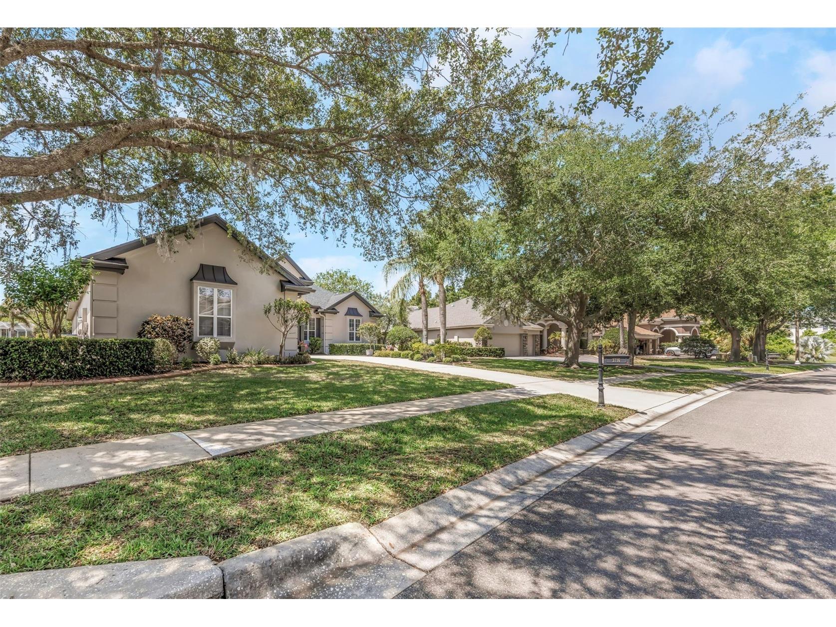 3716 Janus Way Palm Harbor FL 34685 TB8503448 image66